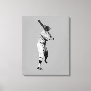 De Kat van het honkbal Canvas Afdruk