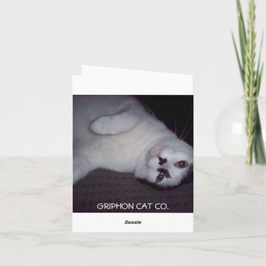 DE KAT VAN HET KAT DANKT U KAARDT BEDANKKAART (Achterkant)