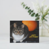 De Kat van het kat en Briefkaart van Halloween van (Staand voorkant)