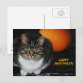 De Kat van het kat en Briefkaart van Halloween van (Voorkant / Achterkant)