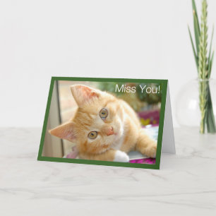 De Kat van het kat - Katje Misser You Card Kaart