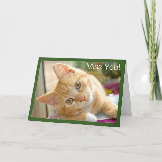 De Kat van het kat - Katje Misser You Card Kaart (Voorkant)