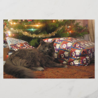 De Kat van Kerstmis Briefpapier