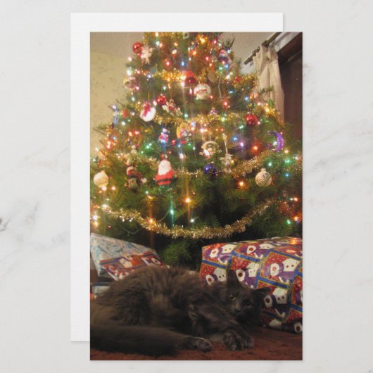 De Kat van Kerstmis Briefpapier (Voorkant / Achterkant)