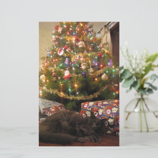 De Kat van Kerstmis Briefpapier (Staand voorkant)