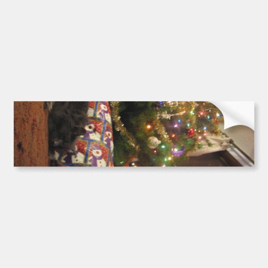 De Kat van Kerstmis Bumpersticker (Voorkant)