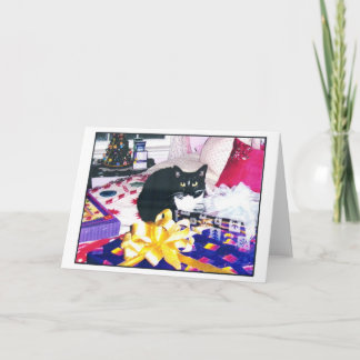 DE KAT VAN KERSTMIS FEESTDAGEN KAART