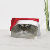 De kat van Kerstmis Feestdagen Kaart (Voorkant)