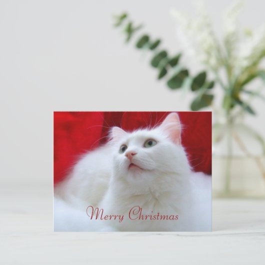 De Kat van Kerstmis Feestdagenkaart (Staand voorkant)