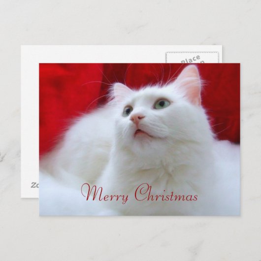 De Kat van Kerstmis Feestdagenkaart (Voorkant / Achterkant)