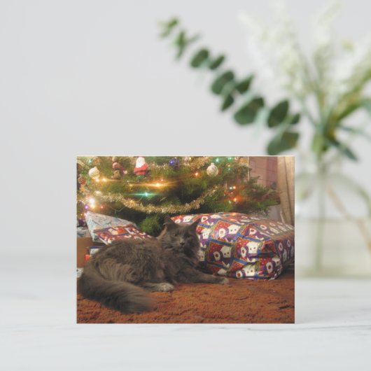 De Kat van Kerstmis Feestdagenkaart (Staand voorkant)