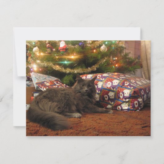 De Kat van Kerstmis Feestdagenkaart (Voorkant)