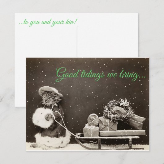 De Kat van Kerstmis Feestdagenkaart (Voorkant / Achterkant)