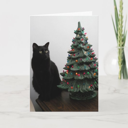 De Kat van Kerstmis met de Kaart van de Boom (Voorkant)