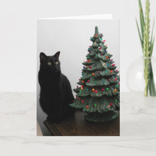 De Kat van Kerstmis met de Kaart van de Boom