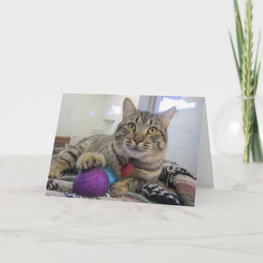 De Kat van Kerstmis van Meowy Feestdagen Kaart (Voorkant)