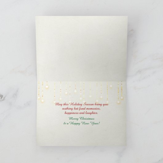 De Kat van Ragdoll in de wintervenster met de Kaart (Binnen)