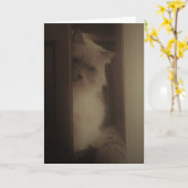 De Kat van Ragdoll Kaart (Gele Bloem)