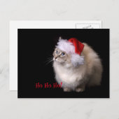 De Kat van Ragdoll van Kerstmis Feestdagenkaart (Voorkant / Achterkant)
