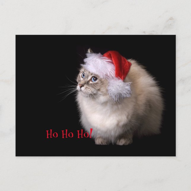 De Kat van Ragdoll van Kerstmis Feestdagenkaart (Voorkant)