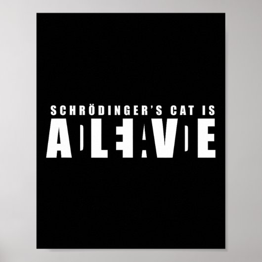 De kat van Sheldon Schroedinger - dood en levend Poster (Voorkant)
