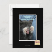 De kat van Smartmouth Briefkaart (Voorkant / Achterkant)