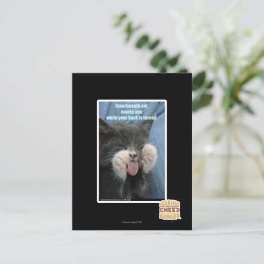 De kat van Smartmouth Briefkaart (Staand voorkant)