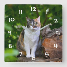 De KAT