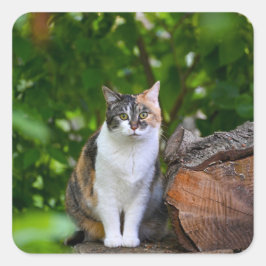 De Kat     Vierkante Sticker