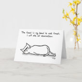 De kat vraagt om vers voedsel - Funny Cat Kaart (Gele Bloem)