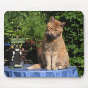 De kater, katten, dieren muismat