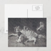 De katfamilie briefkaart (Voorkant / Achterkant)