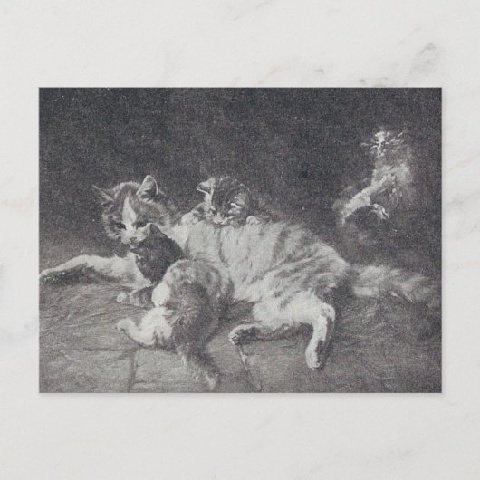 De katfamilie briefkaart (Voorkant)