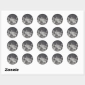 De katfamilie ronde sticker (Vel)