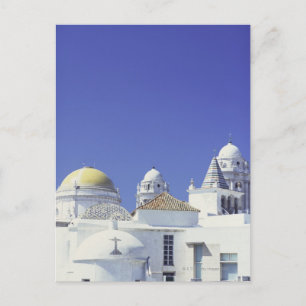De Kathedraal van Cadiz in Cadiz, Spanje Briefkaart
