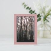 De kathedraal van het bos inspirerende foto briefkaart (Staand voorkant)