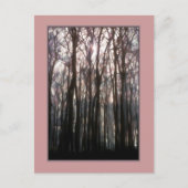 De kathedraal van het bos inspirerende foto briefkaart (Voorkant)