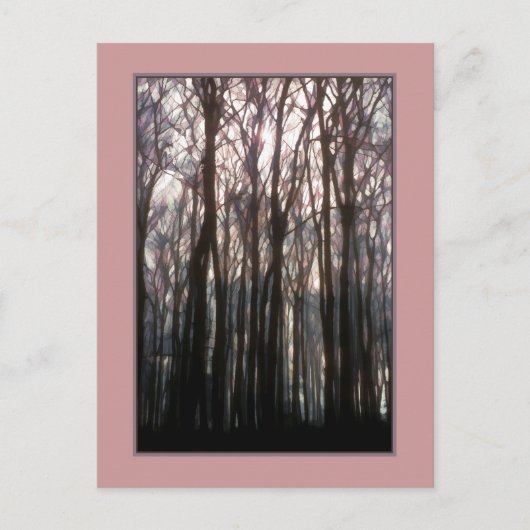 De kathedraal van het bos inspirerende foto briefkaart (Voorkant)