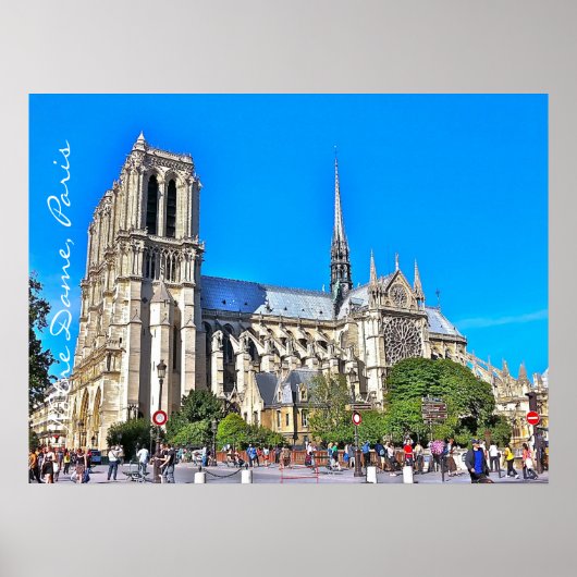 De Kathedraal van Notre Dame fotoillustratie. Poster (Voorkant)