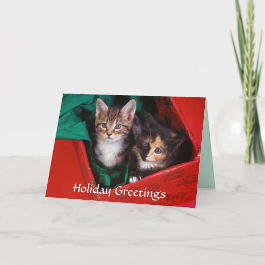 De Katjes van Kerstmis Feestdagen Kaart (Voorkant)