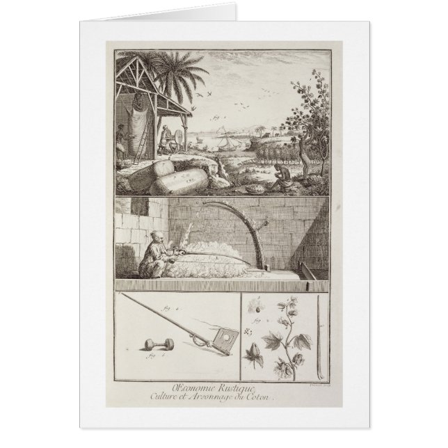 De katoenteelt uit de "Encyclopedie" (Voorkant)
