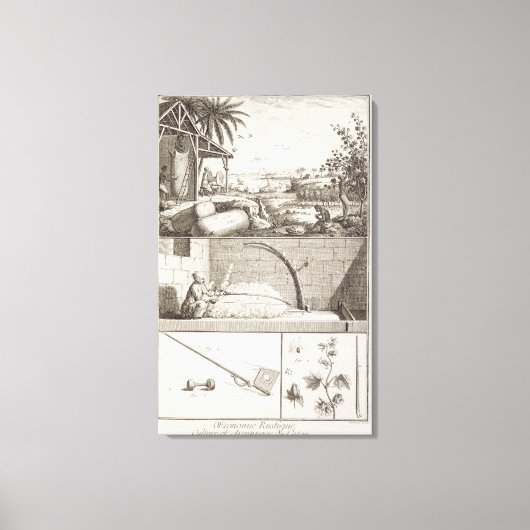 De katoenteelt uit de "Encyclopedie" Canvas Afdruk (Voorkant)