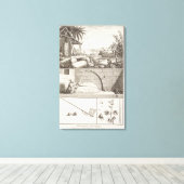 De katoenteelt uit de "Encyclopedie" Canvas Afdruk (Insitu (Houten vloer))