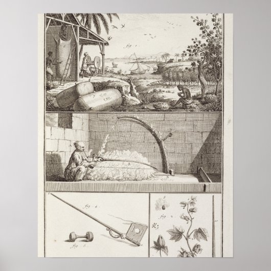De katoenteelt uit de "Encyclopedie" Poster (Voorkant)