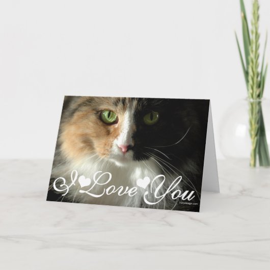De Kat's Ogen Foto Afbeelding Ik Hou Van Jou Kaart (Voorkant)