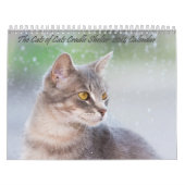 De Katten Cradle Shelter 2014 Agenda Kalender (Hoes)