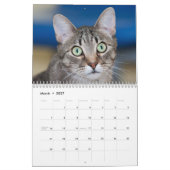 De Katten Cradle Shelter 2014 Agenda Kalender (Mar 2027)