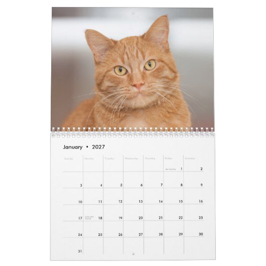 De Katten Cradle Shelter 2014 Agenda Kalender (Jan 2027)