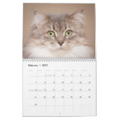De Katten Cradle Shelter 2014 Agenda Kalender (Feb 2027)