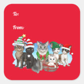 De katten en bemanning kerstlabels vierkante sticker (Voorkant)